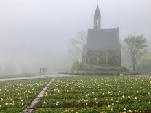 5月16日(木) 今朝の牧歌の里のお天気「雨」/ 霧の世界へようこそ！