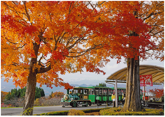 「秋彩の停車場」丹羽貴也