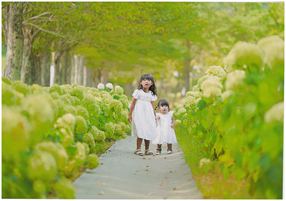 「素敵な小道」宮城惟