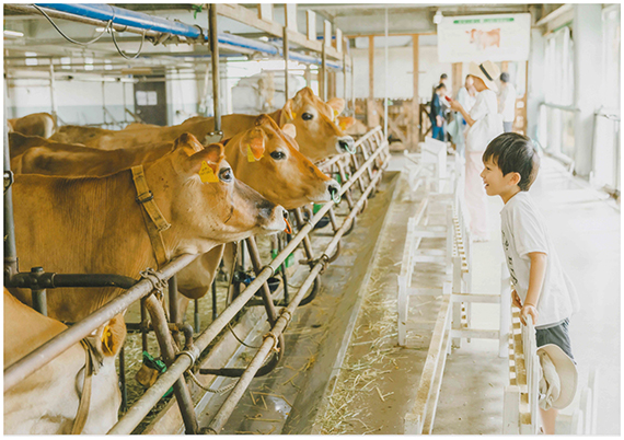 「また、会いにきたよ」濱岡八千代