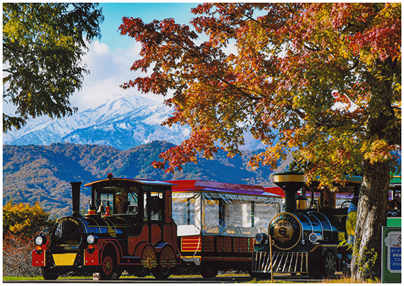 「牧歌の里 三重奏の景色」藤原泰征