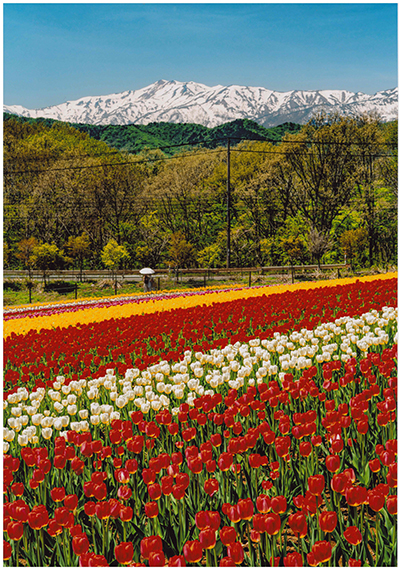「夏の陽射しを感じた日」三島誠
