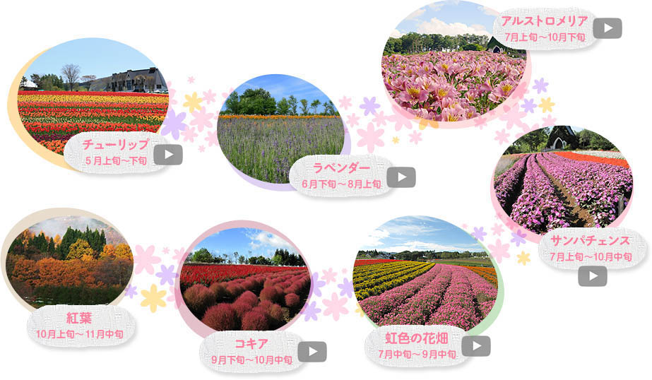 牧歌の里:各月の代表的な花の風景