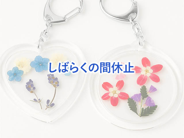 好きな押し花で作ったキーホルダー