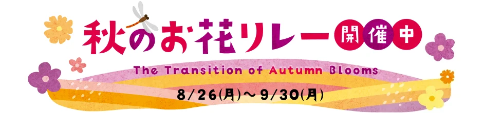 秋のお花リレー 8/26（月）～ 9/30（月）開催中