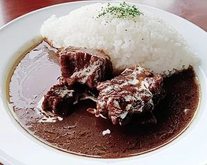 ごろっと飛騨牛DXカレー