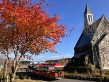 11/16(日)牧歌の里の天気「晴れ」本日13時から『秋のチューリップ球根プレゼント！』開催！