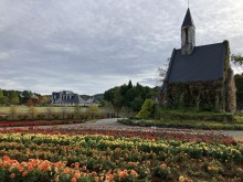 10/22(火)今朝の牧歌の里のお天気「曇り」/ ハロウィンソフトでスイーツタイム