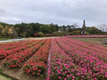 10/28(月)今朝の牧歌の里のお天気「小雨」/ ハロウィンな10月も残り4日