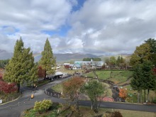 11/1(土)牧歌の里の天気「曇り時々晴れ」『黄金（こがね）色』のコキアちゃんと虹の架け橋♪