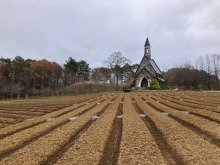 11/20(水)今朝の牧歌の里のお天気「曇り」/ グリーンシーズン残り5日