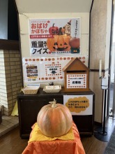 2025年 『第2回おばけかぼちゃ重量当てクイズ』結果発表〜！！！