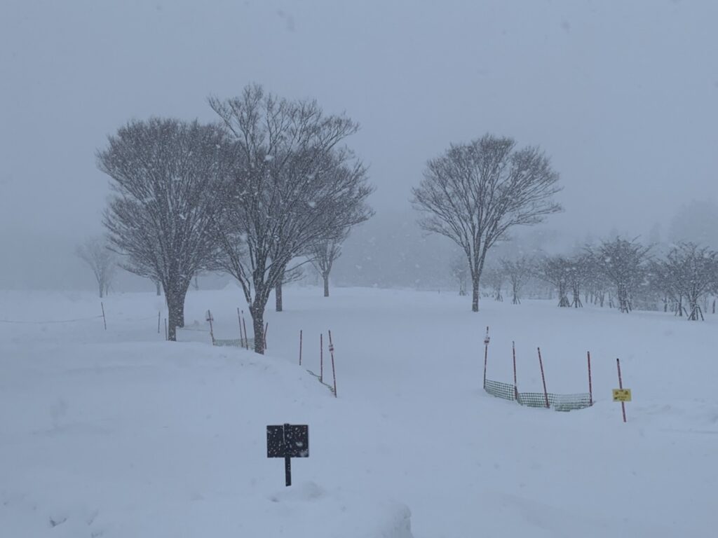 2/10（金）今朝の牧歌の里の天気「雪」 » 牧歌の里