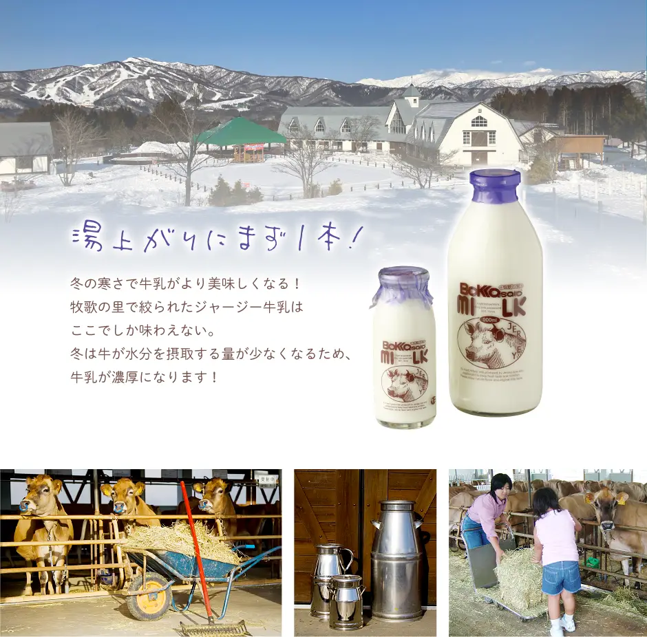 湯上がりにまず1本！ 冬の寒さで牛乳がより美味しくなる！牧歌の里で絞られたジャージー牛乳はここでしか味わえない。冬は牛が水分を摂取する量が少なくなるため、牛乳が濃厚になります！